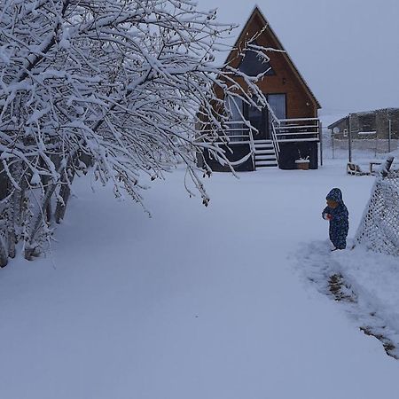 Thomas' Hut Διαμέρισμα Kazbegi Εξωτερικό φωτογραφία