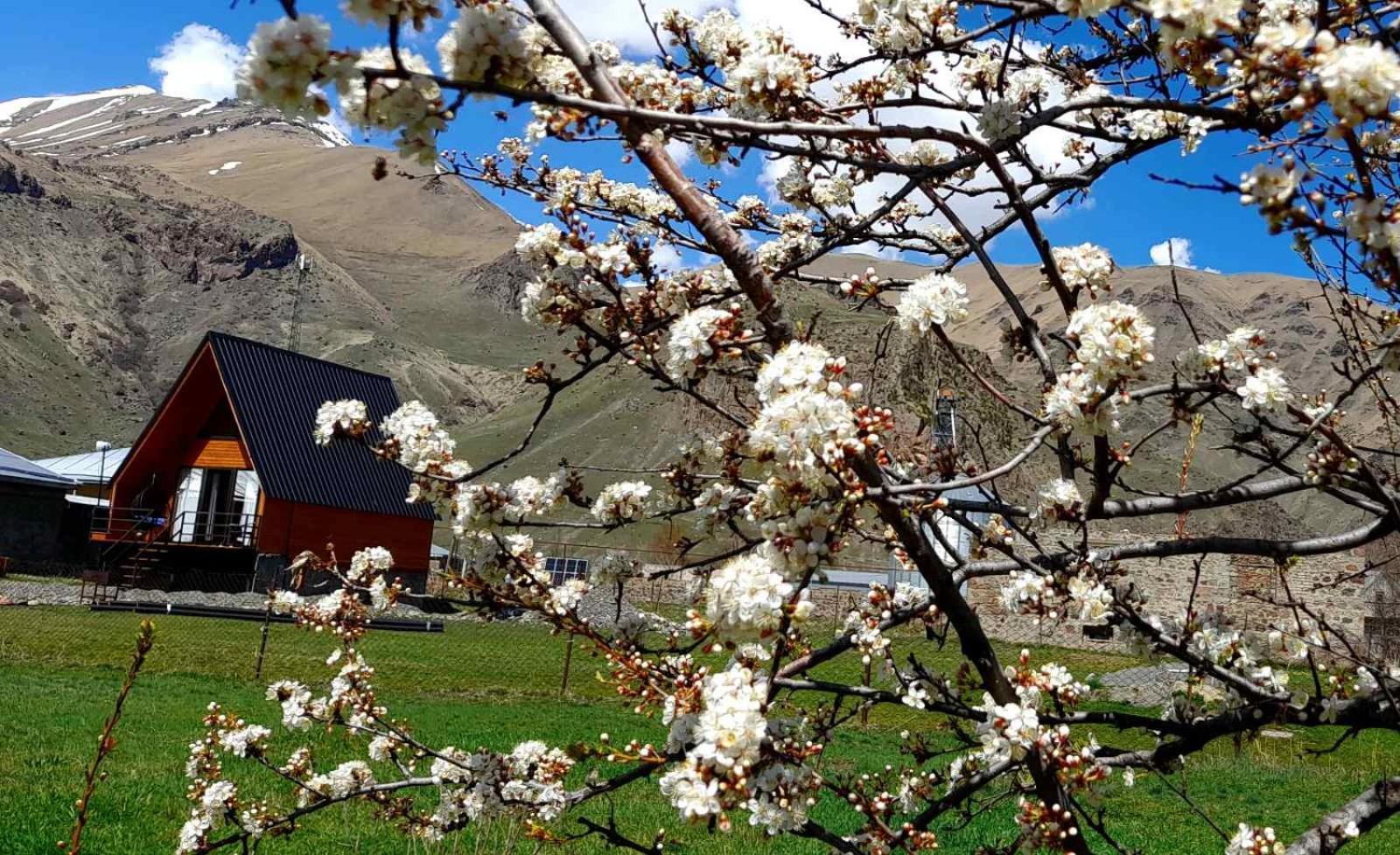 Thomas' Hut Διαμέρισμα Kazbegi Εξωτερικό φωτογραφία