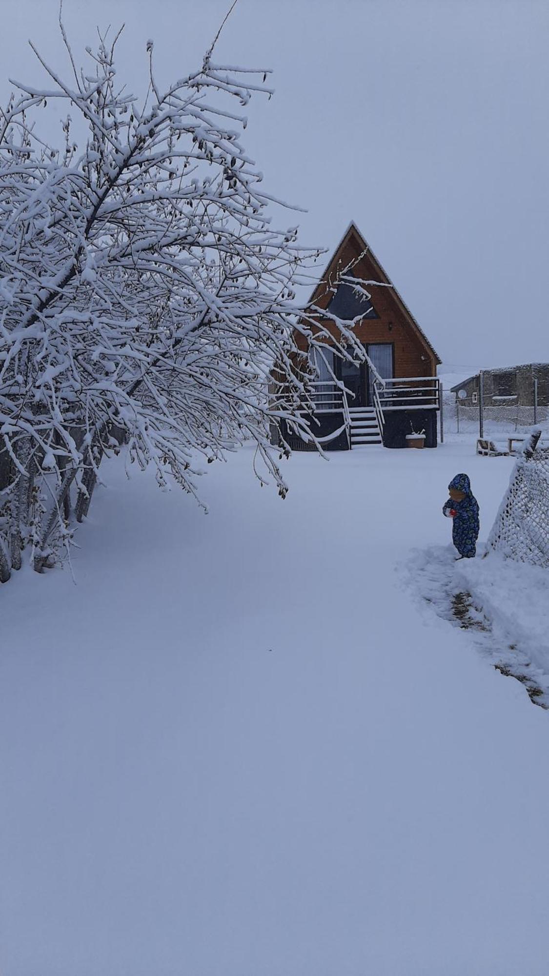 Thomas' Hut Διαμέρισμα Kazbegi Εξωτερικό φωτογραφία
