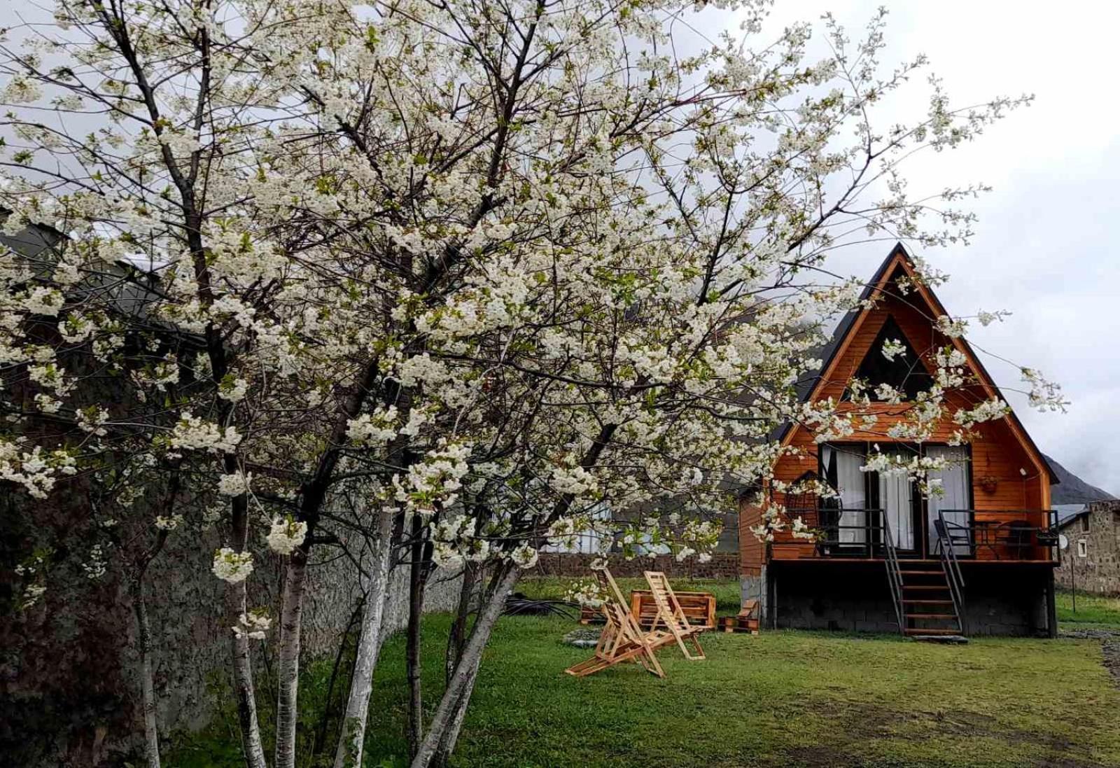 Thomas' Hut Διαμέρισμα Kazbegi Εξωτερικό φωτογραφία
