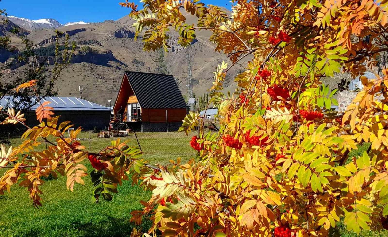 Thomas' Hut Διαμέρισμα Kazbegi Εξωτερικό φωτογραφία